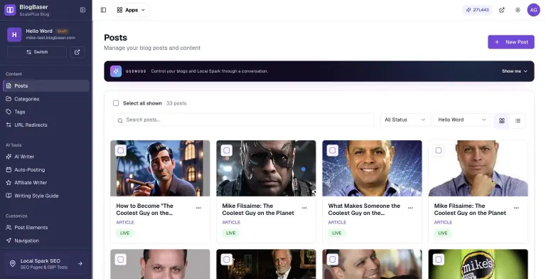 BlogBaser Posts screen in grid view showing 33 posts with featured images, article labels and green Live status badges, plus search, status filter and blog selector